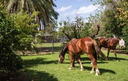Charming 2-BR Farmhouse | Backyard Views