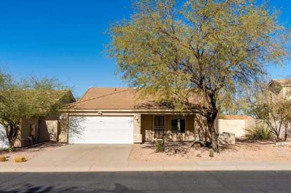 Cactus Melody House - Image 1